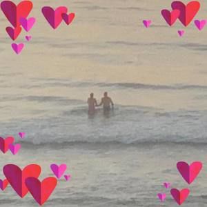 Meet your Posher, Molly